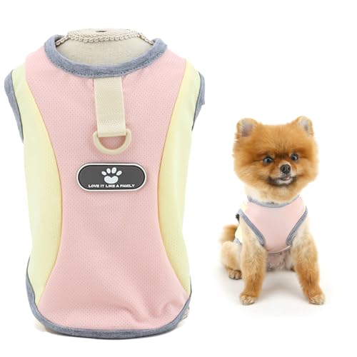 SMALLLEE_LUCKY_STORE Cooles Mesh-Hunde-T-Shirt für extra kleine und kleine Hunde, Colorblock-Tanktop mit D-Ring, UV-beständig, Welpen-Shirt, atmungsaktiv, Sommerweste, Chihuahua, Yorkie SMALLLEE_LUCKY_STORE Cooles Mesh-Hunde-T-Shirt für extra kleine und kleine Hunde, Colorblock-Tanktop mit D-Ring, UV-beständig, Welpen-Shirt, atmungsaktiv, Sommerweste, Chihuahua, Yorkie von smalllee_lucky_store
