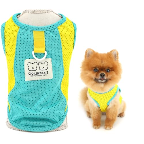 SMALLLEE_LUCKY_STORE Cooles Netz für kleine Hunde Colorblock Haustier Shirt mit D-Form und Kaninchenpatch Welpenweste Hemd von smalllee_lucky_store