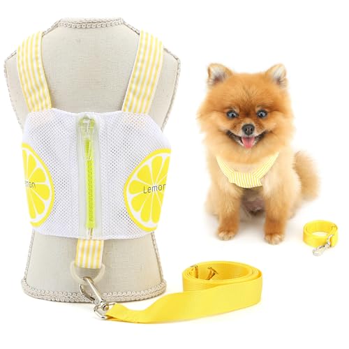 SMALLLEE_LUCKY_STORE Cute Lemon Hundegeschirr für extra kleine und kleine Hunde, kein Ziehen, Welpengeschirr, Weste, Leine, Set, Reißverschlusstasche, coole Netz-Haustierkleidung mit D-Ring, Sommer SMALLLEE_LUCKY_STORE Cute Lemon Hundegeschirr für extra kleine und kleine Hunde, kein Ziehen, Welpengeschirr, Weste, Leine, Set, Reißverschlusstasche, coole Netz-Haustierkleidung mit D-Ring, Sommer von smalllee_lucky_store