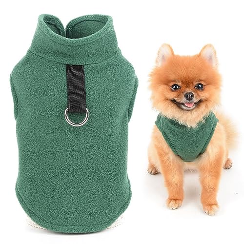 SMALLLEE_LUCKY_STORE Einfarbige Fleece-Weste für kleine Hunde, Katzen, Jungen, Mädchen, Yorkie, Chihuahua, Kätzchen, warme Herbst-/Winterkleidung, Grün, Größe S von smalllee_lucky_store