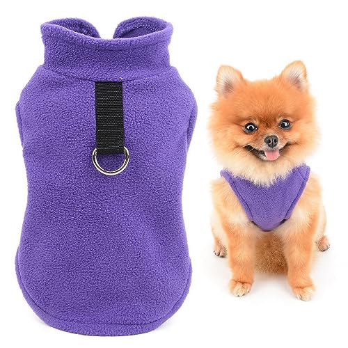 SMALLLEE_LUCKY_STORE Einfarbiger Welpen-Fleecepullover mit Ring für die Leine für kleine Hunde, Katzen, Jungen, Mädchen, Yorkie, Chihuahua, Kätzchen, warme Herbst-/Winterkleidung, Lila, Größe M SMALLLEE_LUCKY_STORE Einfarbiger Welpen-Fleecepullover mit Ring für die Leine für kleine Hunde, Katzen, Jungen, Mädchen, Yorkie, Chihuahua, Kätzchen, warme Herbst-/Winterkleidung, Lila, Größe M von smalllee_lucky_store