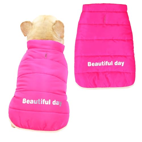 SMALLLEE_LUCKY_STORE Fleece-gefütterte Französische Bulldogge Mäntel für kleine und mittelgroße Hunde, Haustierjacken, Westen mit Loch für die Leine, Puupy Baumwolle gepolsterter Schneeanzug Mops SMALLLEE_LUCKY_STORE Fleece-gefütterte Französische Bulldogge Mäntel für kleine und mittelgroße Hunde, Haustierjacken, Westen mit Loch für die Leine, Puupy Baumwolle gepolsterter Schneeanzug Mops von smalllee_lucky_store