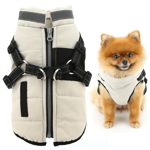 SMALLLEE_LUCKY_STORE Fleece-gefütterter Haustiermantel, Sport-Winterjacke, Weste mit Geschirr, D-Ring für kleine Hunde und Katzen, reflektierend, mit Reißverschluss, gepolstert, Chihuahua, Yorkie, SMALLLEE_LUCKY_STORE Fleece-gefütterter Haustiermantel, Sport-Winterjacke, Weste mit Geschirr, D-Ring für kleine Hunde und Katzen, reflektierend, mit Reißverschluss, gepolstert, Chihuahua, Yorkie, von smalllee_lucky_store