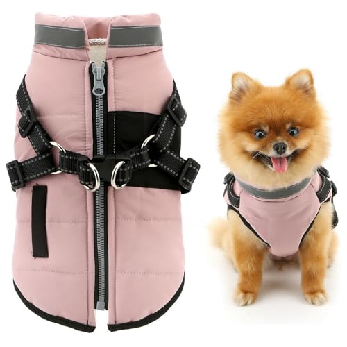 SMALLLEE_LUCKY_STORE Fleece-gefütterter Haustiermantel, Sport-Winterjacke, Weste mit Geschirr, D-Ring für kleine Hunde und Katzen, reflektierend, mit Reißverschluss, gepolstert, Chihuahua, Yorkie, SMALLLEE_LUCKY_STORE Fleece-gefütterter Haustiermantel, Sport-Winterjacke, Weste mit Geschirr, D-Ring für kleine Hunde und Katzen, reflektierend, mit Reißverschluss, gepolstert, Chihuahua, Yorkie, von smalllee_lucky_store
