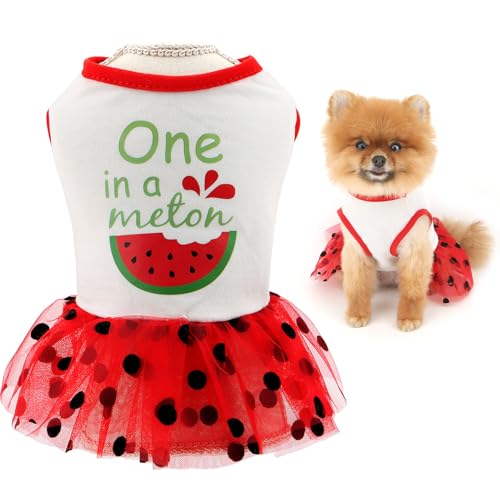 SMALLLEE_LUCKY_STORE Gepunktetes Hundekleid für extra kleine und kleine Hunde, Tüll, Welpenrock mit süßem Obst, bedruckt, dehnbar, Sommer, Frühling, Haustierkleidung, Yorkie, Chihuahua, Katzen, Kostüm von smalllee_lucky_store