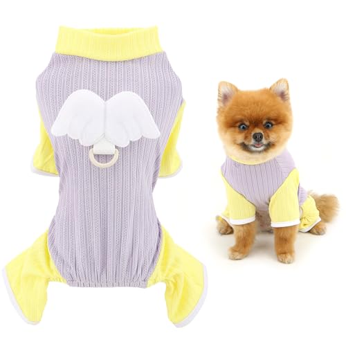 SMALLLEE_LUCKY_STORE Gestreifter Hunde-Pyjama für kleine Hunde, Haustier-Overall mit D-Ring und Engelsflügel, Colorblock, dehnbar, für Welpen, Sommer, Frühling, Chihuahua, Yorkie, Katze, Bekleidung, von smalllee_lucky_store