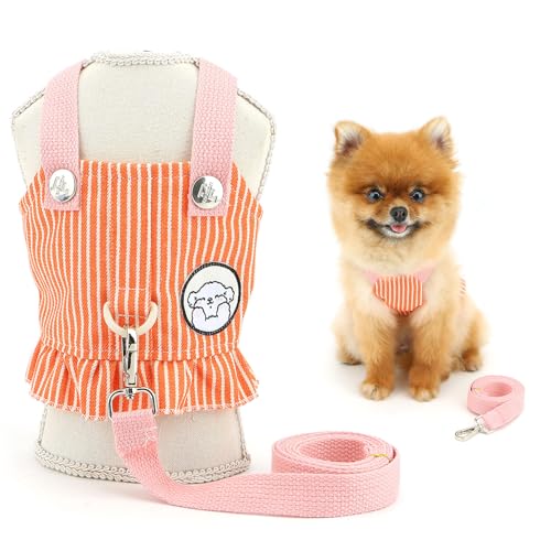 SMALLLEE_LUCKY_STORE Gestreiftes Denim-Hundegeschirrkleid für extra kleine und kleine Hunde, kein Ziehen, Welpengeschirr, Rock mit Leine, Rüschenbesatz, Haustierweste mit D-Ring, Sommer, Chihuahua von smalllee_lucky_store