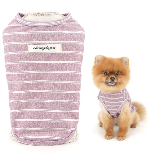 SMALLLEE_LUCKY_STORE Gestreiftes Hunde-T-Shirt für extra kleine und kleine Hunde, Haustier-Pullover mit Aufnäher, Welpenweste, atmungsaktiv, dehnbar, Tanktop, Frühling, Sommer, Chihuahua, Yorkie SMALLLEE_LUCKY_STORE Gestreiftes Hunde-T-Shirt für extra kleine und kleine Hunde, Haustier-Pullover mit Aufnäher, Welpenweste, atmungsaktiv, dehnbar, Tanktop, Frühling, Sommer, Chihuahua, Yorkie von smalllee_lucky_store