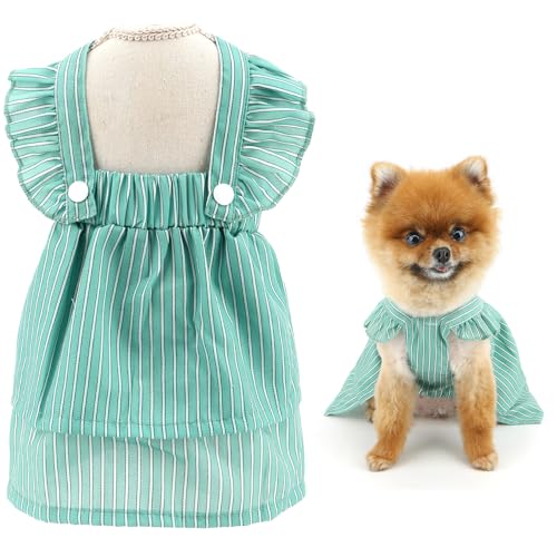 SMALLLEE_LUCKY_STORE Gestreiftes Hundekleid für extra kleine und kleine Hunde, Hündinnen, für Sommer, Frühling, bequem, dehnbar, Haustierkleidung, Yorkie, Chihuahua, Katzen, Bekleidung, Grün, Größe M SMALLLEE_LUCKY_STORE Gestreiftes Hundekleid für extra kleine und kleine Hunde, Hündinnen, für Sommer, Frühling, bequem, dehnbar, Haustierkleidung, Yorkie, Chihuahua, Katzen, Bekleidung, Grün, Größe M von smalllee_lucky_store