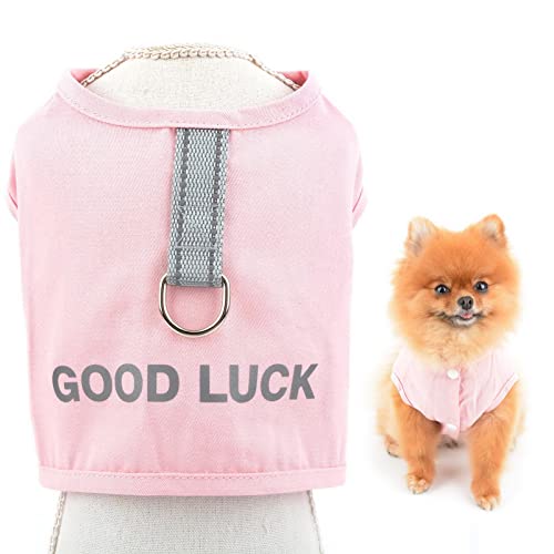 SMALLLEE_LUCKY_STORE Good Luck Haustier-Geschirr, Weste mit D-Ring für kleine Hunde, Katzen, Jungen, Mädchen, weiche, bequeme Jeansjacke für Spaziergänge im Freien, Welpen, Yorkie, Chihuahua, von smalllee_lucky_store