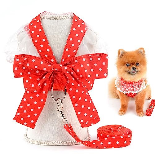 SMALLLEE_LUCKY_STORE Haustier-Geschirrkleid und Leine für kleine Hunde, Katzen, Mädchen, mit D-Ring-Schleife, Spitzenbesatz, weibliche Welpen, Yorkie, Chihuahua, Sommerkleidung, Rot, Größe XXL von smalllee_lucky_store