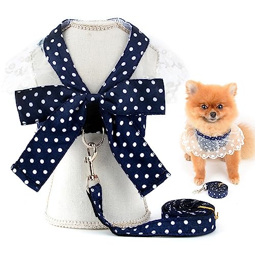 SMALLLEE_LUCKY_STORE Haustier-Prinzessinnengeschirr, Kleid und Leine für kleine Hunde, Katzen, Mädchen, mit D-Ring-Schleife, Spitzenbesatz, für weibliche Welpen, Yorkie, Chihuahua, Sommerkleidung, von smalllee_lucky_store