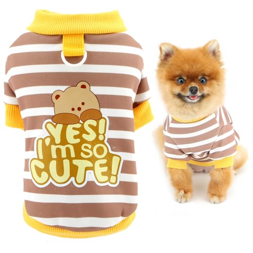SMALLLEE_LUCKY_STORE Hunde-Sweatshirt aus Fleece, gestreift, für XS, kleine Hunde, Welpenpullover mit Leine, Ring, Bären-Druck, Buchstabenmuster, warmer Winterpullover, Kleidung, Chihuahua, Yorkie SMALLLEE_LUCKY_STORE Hunde-Sweatshirt aus Fleece, gestreift, für XS, kleine Hunde, Welpenpullover mit Leine, Ring, Bären-Druck, Buchstabenmuster, warmer Winterpullover, Kleidung, Chihuahua, Yorkie von smalllee_lucky_store