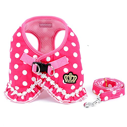 SMALLLEE_LUCKY_STORE Hundegeschirr-Set für kleine Hunde und Katzen, gepunktet, Netzstoff, gepolstert, Größe L, Rosa SMALLLEE_LUCKY_STORE Hundegeschirr-Set für kleine Hunde und Katzen, gepunktet, Netzstoff, gepolstert, Größe L, Rosa von smalllee_lucky_store