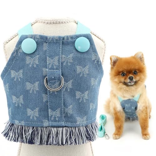 SMALLLEE_LUCKY_STORE Hundegeschirr aus Denim, Kleid und Leine, kein Ziehen, Welpengeschirr, Prinzessinnenrock mit D-Ring und Fransen, Sommerkleidung mit Schleife, Chihuahua, Yorkie, Hellblau, Größe XL von smalllee_lucky_store