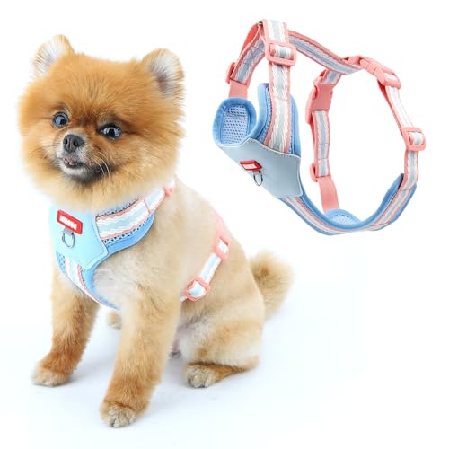 SMALLLEE_LUCKY_STORE Hundegeschirr aus weichem Netzgewebe für kleine Hunde, kein Ziehen, leicht zu gehen, mit D-Ring-Sicherheitsschnalle, atmungsaktiv, verstellbare Wanderjacke für Katzen, Blau, Größe SMALLLEE_LUCKY_STORE Hundegeschirr aus weichem Netzgewebe für kleine Hunde, kein Ziehen, leicht zu gehen, mit D-Ring-Sicherheitsschnalle, atmungsaktiv, verstellbare Wanderjacke für Katzen, Blau, Größe von smalllee_lucky_store