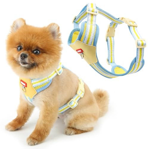 SMALLLEE_LUCKY_STORE Hundegeschirr aus weichem Netzgewebe für kleine Hunde, kein Ziehen, leicht zu gehen, mit D-Ring-Sicherheitsschnalle, atmungsaktiv, verstellbare Wanderjacke für Katzen, Gelb, M SMALLLEE_LUCKY_STORE Hundegeschirr aus weichem Netzgewebe für kleine Hunde, kein Ziehen, leicht zu gehen, mit D-Ring-Sicherheitsschnalle, atmungsaktiv, verstellbare Wanderjacke für Katzen, Gelb, M von smalllee_lucky_store