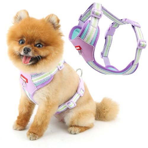 SMALLLEE_LUCKY_STORE Hundegeschirr aus weichem Netzgewebe für kleine Hunde, kein Ziehen, leicht zu gehen, mit D-Ring-Sicherheitsschnalle, atmungsaktiv, verstellbare Wanderjacke für Katzen, Lila, S SMALLLEE_LUCKY_STORE Hundegeschirr aus weichem Netzgewebe für kleine Hunde, kein Ziehen, leicht zu gehen, mit D-Ring-Sicherheitsschnalle, atmungsaktiv, verstellbare Wanderjacke für Katzen, Lila, S von smalllee_lucky_store