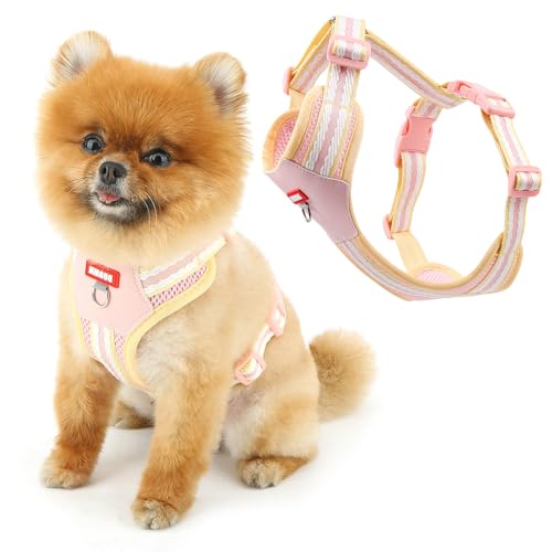 SMALLLEE_LUCKY_STORE Hundegeschirr aus weichem Netzgewebe für kleine Hunde, kein Ziehen, leicht zu gehen, mit D-Ring-Sicherheitsschnalle, atmungsaktiv, verstellbare Wanderjacke für Katzen, Rosa, M SMALLLEE_LUCKY_STORE Hundegeschirr aus weichem Netzgewebe für kleine Hunde, kein Ziehen, leicht zu gehen, mit D-Ring-Sicherheitsschnalle, atmungsaktiv, verstellbare Wanderjacke für Katzen, Rosa, M von smalllee_lucky_store