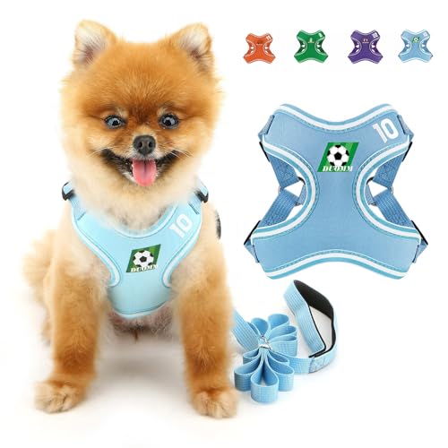 SMALLLEE_LUCKY_STORE Hundegeschirr und Leine, Set für kleine und mittelgroße Hunde, verstellbares Hundegeschirr mit Cartoon-bedrucktem Netzgewebe, ausbruchsicher, Welpenjacke für Katzen, Blau, Größe SMALLLEE_LUCKY_STORE Hundegeschirr und Leine, Set für kleine und mittelgroße Hunde, verstellbares Hundegeschirr mit Cartoon-bedrucktem Netzgewebe, ausbruchsicher, Welpenjacke für Katzen, Blau, Größe von smalllee_lucky_store