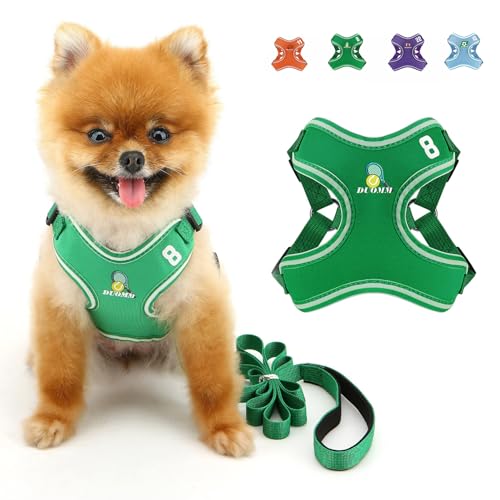 SMALLLEE_LUCKY_STORE Hundegeschirr und Leine, Set für kleine und mittelgroße Hunde, verstellbares Hundegeschirr mit Cartoon-bedrucktem Netzgewebe, ausbruchsicher, Welpenjacke für Katzen, Grün, Größe S SMALLLEE_LUCKY_STORE Hundegeschirr und Leine, Set für kleine und mittelgroße Hunde, verstellbares Hundegeschirr mit Cartoon-bedrucktem Netzgewebe, ausbruchsicher, Welpenjacke für Katzen, Grün, Größe S von smalllee_lucky_store