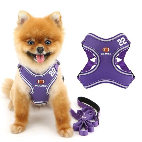 SMALLLEE_LUCKY_STORE Hundegeschirr und Leine, Set für kleine und mittelgroße Hunde, verstellbares Hundegeschirr mit Cartoon-bedrucktem Netzgewebe, ausbruchsicher, Welpenjacke für Katzen, Lila, XS SMALLLEE_LUCKY_STORE Hundegeschirr und Leine, Set für kleine und mittelgroße Hunde, verstellbares Hundegeschirr mit Cartoon-bedrucktem Netzgewebe, ausbruchsicher, Welpenjacke für Katzen, Lila, XS von smalllee_lucky_store