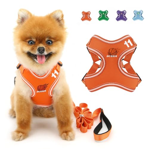 SMALLLEE_LUCKY_STORE Hundegeschirr und Leine, Set für kleine und mittelgroße Hunde, verstellbares Hundegeschirr mit Cartoon-bedrucktem Netzgewebe, ausbruchsicher, Welpenjacke für Katzen, Orange, Größe SMALLLEE_LUCKY_STORE Hundegeschirr und Leine, Set für kleine und mittelgroße Hunde, verstellbares Hundegeschirr mit Cartoon-bedrucktem Netzgewebe, ausbruchsicher, Welpenjacke für Katzen, Orange, Größe von smalllee_lucky_store