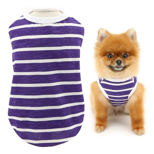 SMALLLEE_LUCKY_STORE Hundeweste für kleine Hunde, Baumwolle, gestreift, für Sommer, Frühling, dehnbar, für Welpen, Chihuahua, Yorkie, Katzenkleidung SMALLLEE_LUCKY_STORE Hundeweste für kleine Hunde, Baumwolle, gestreift, für Sommer, Frühling, dehnbar, für Welpen, Chihuahua, Yorkie, Katzenkleidung von smalllee_lucky_store
