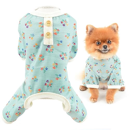 SMALLLEE_LUCKY_STORE Kleine Hundekleidung, niedliches Blumenmuster, Waffelstrick, Welpen-Pyjama, Katzen-Schlafanzug, dehnbarer Overall, warme Nachtwäsche, Outfits für Yorkie, Chihuahua, Grün, Größe S SMALLLEE_LUCKY_STORE Kleine Hundekleidung, niedliches Blumenmuster, Waffelstrick, Welpen-Pyjama, Katzen-Schlafanzug, dehnbarer Overall, warme Nachtwäsche, Outfits für Yorkie, Chihuahua, Grün, Größe S von smalllee_lucky_store