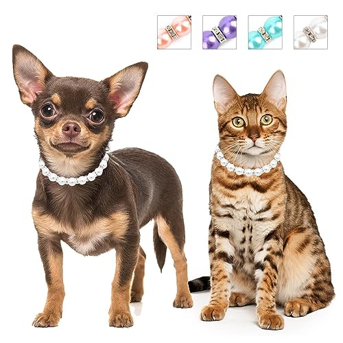 SMALLLEE_LUCKY_STORE Niedliche Hundehalsketten mit Kunstperlen und Strasssteinen, für Katzen, Welpen, kleine Hunde, Mädchen, Haustierhalsband, Schmuck für Hochzeit, Party, Geburtstag, SMALLLEE_LUCKY_STORE Niedliche Hundehalsketten mit Kunstperlen und Strasssteinen, für Katzen, Welpen, kleine Hunde, Mädchen, Haustierhalsband, Schmuck für Hochzeit, Party, Geburtstag, von smalllee_lucky_store