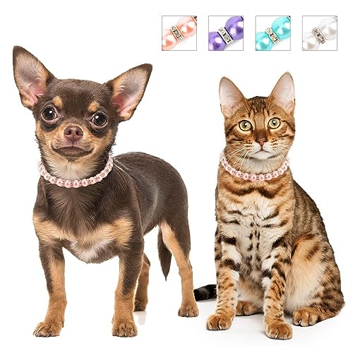 SMALLLEE_LUCKY_STORE Niedliche Hundehalsketten mit Kunstperlen und Strasssteinen, für Katzen, Welpen, kleine Hunde, Mädchen, Haustierhalsband, Schmuck für Hochzeit, Party, Geburtstag, SMALLLEE_LUCKY_STORE Niedliche Hundehalsketten mit Kunstperlen und Strasssteinen, für Katzen, Welpen, kleine Hunde, Mädchen, Haustierhalsband, Schmuck für Hochzeit, Party, Geburtstag, von smalllee_lucky_store