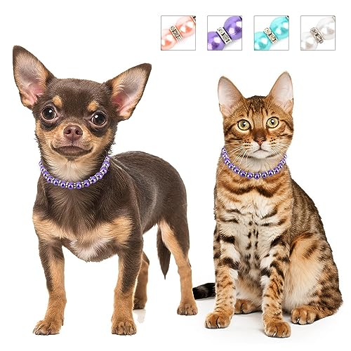 SMALLLEE_LUCKY_STORE Niedliche Hundehalsketten mit Kunstperlen und Strasssteinen, für Katzen, Welpen, kleine Hunde, Mädchen, Haustierhalsband, Schmuck für Hochzeit, Party, Geburtstag, SMALLLEE_LUCKY_STORE Niedliche Hundehalsketten mit Kunstperlen und Strasssteinen, für Katzen, Welpen, kleine Hunde, Mädchen, Haustierhalsband, Schmuck für Hochzeit, Party, Geburtstag, von smalllee_lucky_store