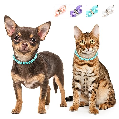 SMALLLEE_LUCKY_STORE Niedliche Hundehalsketten mit Kunstperlen und Strasssteinen, für Katzen, Welpen, kleine Hunde, Mädchen, Haustierhalsband, Schmuck für Hochzeit, Party, Geburtstag, SMALLLEE_LUCKY_STORE Niedliche Hundehalsketten mit Kunstperlen und Strasssteinen, für Katzen, Welpen, kleine Hunde, Mädchen, Haustierhalsband, Schmuck für Hochzeit, Party, Geburtstag, von smalllee_lucky_store
