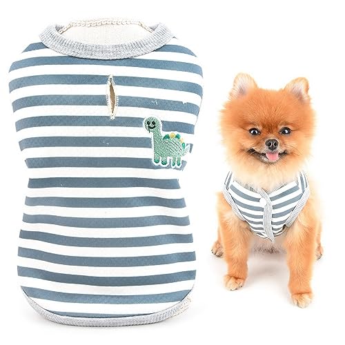 SMALLLEE_LUCKY_STORE Niedlicher Dinosaurier-Gestreifter Haustiermantel, Weste, Fleece-gefütterte Winterjacke für kleine Hunde, Katzen, mit Loch für die Leine, Welpen, Chihuahua, Yorkie, warme kalte von smalllee_lucky_store