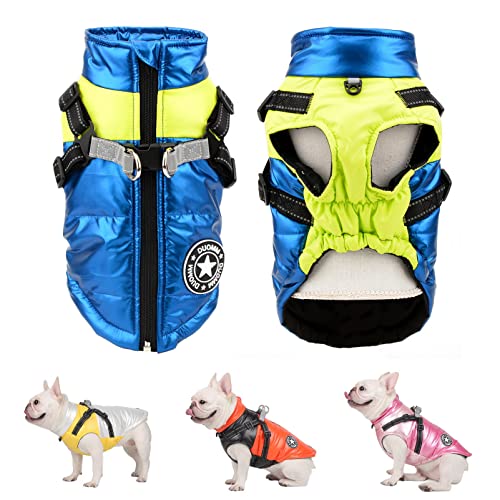 SMALLLEE_Lucky_Store Pet Colorblock wasserdichte Winterjacke mit Geschirr D-Ring für kleine mittelgroße Hunde Katzen,Welpenmantel Chihuahua Yorkie französische Bulldogge warme Kleidung,blau,XL von smalllee_lucky_store