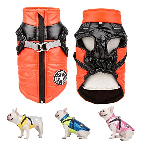 SMALLLEE_LUCKY_STORE Pet Colorblock wasserdichte Winterjacke mit Geschirr D-Ring für kleine mittelgroße Hunde Katzen,Welpenmantel Chihuahua Yorkie französische Bulldogge warme Kleidung,orange,XL SMALLLEE_LUCKY_STORE Pet Colorblock wasserdichte Winterjacke mit Geschirr D-Ring für kleine mittelgroße Hunde Katzen,Welpenmantel Chihuahua Yorkie französische Bulldogge warme Kleidung,orange,XL von smalllee_lucky_store