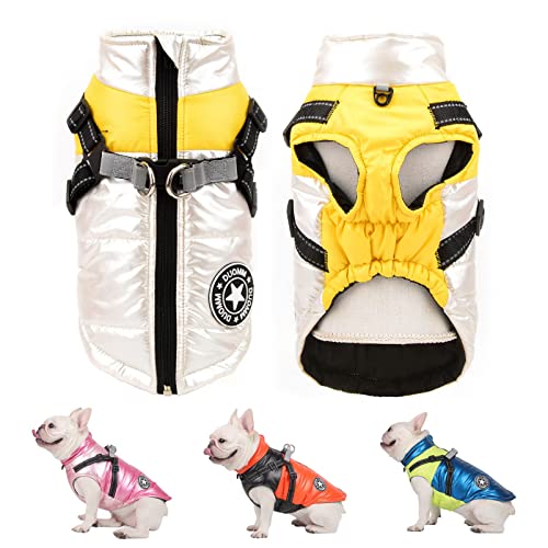 SMALLLEE_LUCKY_STORE Pet wasserdichte Winterjacke mit Geschirr D-Ring für kleine mittelgroße Hunde und Katzen,Welpenmantel Chihuahua Yorkie französische Bulldogge warme Kleidung,silberfarben,L SMALLLEE_LUCKY_STORE Pet wasserdichte Winterjacke mit Geschirr D-Ring für kleine mittelgroße Hunde und Katzen,Welpenmantel Chihuahua Yorkie französische Bulldogge warme Kleidung,silberfarben,L von smalllee_lucky_store