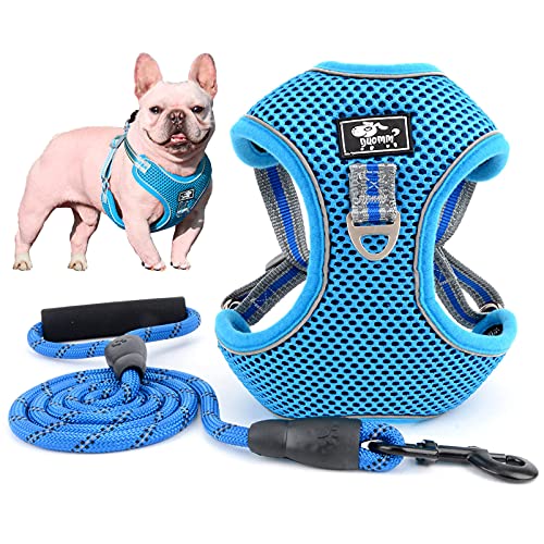 SMALLLEE_LUCKY_STORE Pet No Pull Step-in Puppy Harness and Leash Set for Small Medium Large Dogs Front Back Clip Reflective Soft Mesh Padded Adjustable Comfort Vest for Walking French Bulldog Harness von smalllee_lucky_store