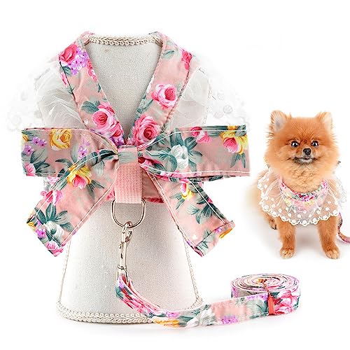 SMALLLEE_LUCKY_STORE Prinzessinnen-Geschirr für kleine Hunde, Katzen, Mädchen, mit D-Ring-Schleife, Spitzenbesatz, weibliche Welpen, Yorkie, Chihuahua, Sommerkleidung, Rosa, Größe XXL SMALLLEE_LUCKY_STORE Prinzessinnen-Geschirr für kleine Hunde, Katzen, Mädchen, mit D-Ring-Schleife, Spitzenbesatz, weibliche Welpen, Yorkie, Chihuahua, Sommerkleidung, Rosa, Größe XXL von smalllee_lucky_store