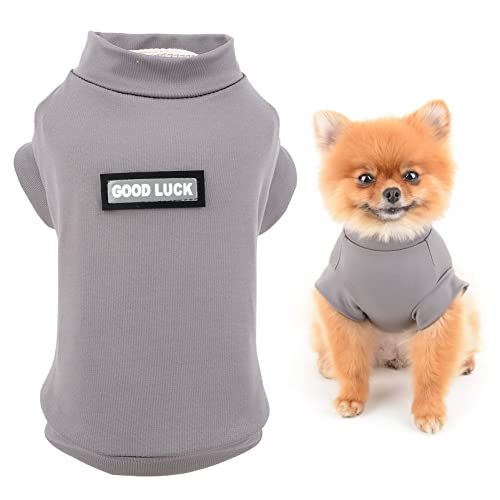 SMALLLEE_Lucky_Store Schnell trocknendes Haustier-Shirt, Cooles Welpen-T-Shirt, Sonnenschutz T-Shirt für kleine Hunde Katzen,Tank-Top Weste,Yorkie Chihuahua Sommerkleidung, dunkelgrau, XL von smalllee_lucky_store