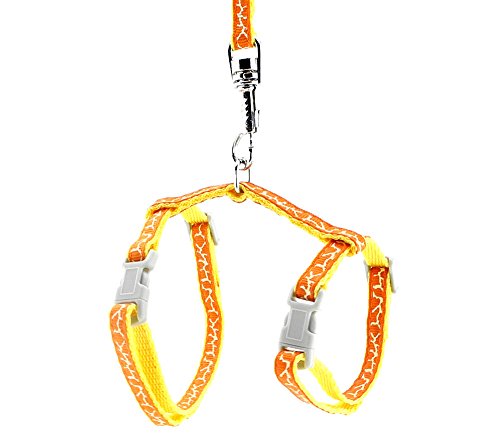 SMALLLEE_LUCKY_STORE Spielzeug Hund Katze Kätzchen Verstellbares Geschirr Halsband Kaninchen Geschir Elastischer Gehgeschirr Set für Kleintiere,Giraffen,Orange SMALLLEE_LUCKY_STORE Spielzeug Hund Katze Kätzchen Verstellbares Geschirr Halsband Kaninchen Geschir Elastischer Gehgeschirr Set für Kleintiere,Giraffen,Orange von smalllee_lucky_store