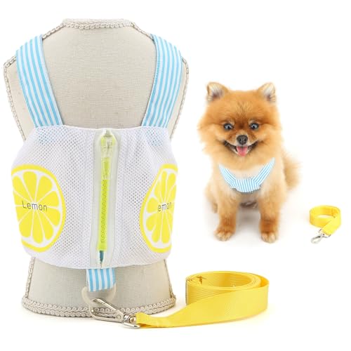 SMALLLEE_LUCKY_STORE Süßes Hundegeschirr für extra kleine und kleine Hunde, kein Ziehen, Welpengeschirr, Weste, Leine, Set, Reißverschlusstasche, coole Netz-Haustierkleidung mit D-Ring, Sommer SMALLLEE_LUCKY_STORE Süßes Hundegeschirr für extra kleine und kleine Hunde, kein Ziehen, Welpengeschirr, Weste, Leine, Set, Reißverschlusstasche, coole Netz-Haustierkleidung mit D-Ring, Sommer von smalllee_lucky_store