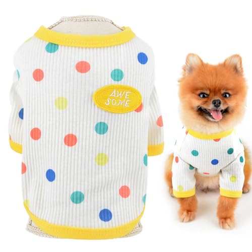 SMALLLEE_LUCKY_STORE Süßes Regenbogen-Punkt-Strick-Sweatshirt für kleine Hunde, weicher Stretch, Welpenpullover, Haustier-T-Shirt, Winter, Herbst, Katzenkostüm, Chihuahua, Yorkie, Kleidung, Weiß, SMALLLEE_LUCKY_STORE Süßes Regenbogen-Punkt-Strick-Sweatshirt für kleine Hunde, weicher Stretch, Welpenpullover, Haustier-T-Shirt, Winter, Herbst, Katzenkostüm, Chihuahua, Yorkie, Kleidung, Weiß, von smalllee_lucky_store