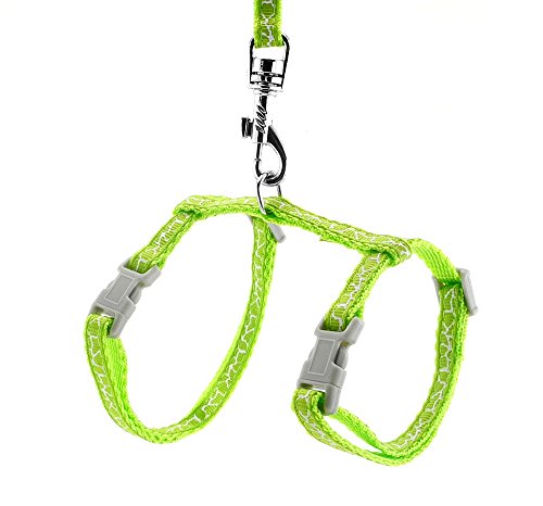 SMALLLEE_LUCKY_STORE Verstellbares Hundegeschirr mit Leine, Giraffe, klein, Grün SMALLLEE_LUCKY_STORE Verstellbares Hundegeschirr mit Leine, Giraffe, klein, Grün von smalllee_lucky_store