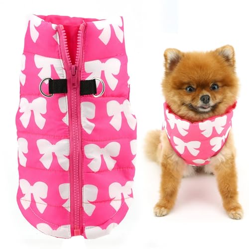 SMALLLEE_LUCKY_STORE Wasserabweisende Winterjacke für kleine Hunde und Katzen, mit Reißverschluss, gepolstert, Welpenmantel, Chihuahua, Yorkie, Kätzchen, warme Kleidung, Hot Pink, S SMALLLEE_LUCKY_STORE Wasserabweisende Winterjacke für kleine Hunde und Katzen, mit Reißverschluss, gepolstert, Welpenmantel, Chihuahua, Yorkie, Kätzchen, warme Kleidung, Hot Pink, S von smalllee_lucky_store
