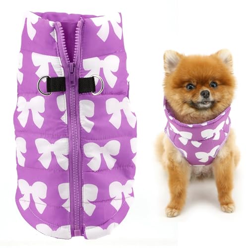 SMALLLEE_LUCKY_STORE Wasserabweisende Winterjacke für kleine Hunde und Katzen, mit Reißverschluss, gepolstert, Welpenmantel, Chihuahua, Yorkie, Kätzchen, warme Kleidung, Lila, XS SMALLLEE_LUCKY_STORE Wasserabweisende Winterjacke für kleine Hunde und Katzen, mit Reißverschluss, gepolstert, Welpenmantel, Chihuahua, Yorkie, Kätzchen, warme Kleidung, Lila, XS von smalllee_lucky_store
