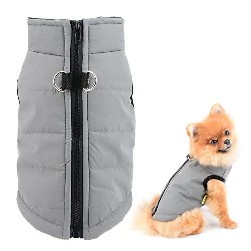 SMALLLEE_LUCKY_STORE Wasserdichte Winterjacke für kleine Hunde und Katzen, mit Reißverschluss, gepolstert, für Chihuahua, Yorkie, Kätzchen, warme Kleidung, Grau, Größe L SMALLLEE_LUCKY_STORE Wasserdichte Winterjacke für kleine Hunde und Katzen, mit Reißverschluss, gepolstert, für Chihuahua, Yorkie, Kätzchen, warme Kleidung, Grau, Größe L von smalllee_lucky_store