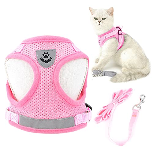 SMALLLEE_LUCKY_STORE Weiches Netz-Katzengeschirr und Leine, ausbruchsicher, verstellbar, leicht, refektiv, sichere Outdoor-Wanderjacke für kleine Welpen, Kätzchen, Hundegeschirr, Weste, Pink, Größe L SMALLLEE_LUCKY_STORE Weiches Netz-Katzengeschirr und Leine, ausbruchsicher, verstellbar, leicht, refektiv, sichere Outdoor-Wanderjacke für kleine Welpen, Kätzchen, Hundegeschirr, Weste, Pink, Größe L von smalllee_lucky_store