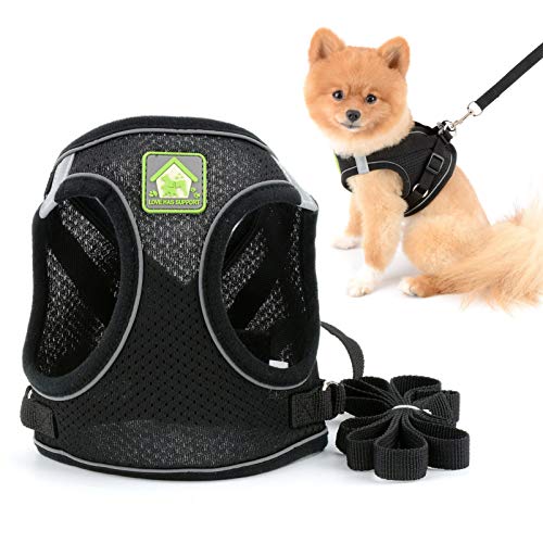 smalllee_Lucky_Store Hundegeschirr und Leine für kleine Hunde Welpen, weiches Netzgewebe, reflektierend, katzengeschirr ausbruchsicher für Spaziergänge,für Jungen,Mädchen,kleine Welpen,Kätzchen smalllee_Lucky_Store Hundegeschirr und Leine für kleine Hunde Welpen, weiches Netzgewebe, reflektierend, katzengeschirr ausbruchsicher für Spaziergänge,für Jungen,Mädchen,kleine Welpen,Kätzchen von smalllee_lucky_store