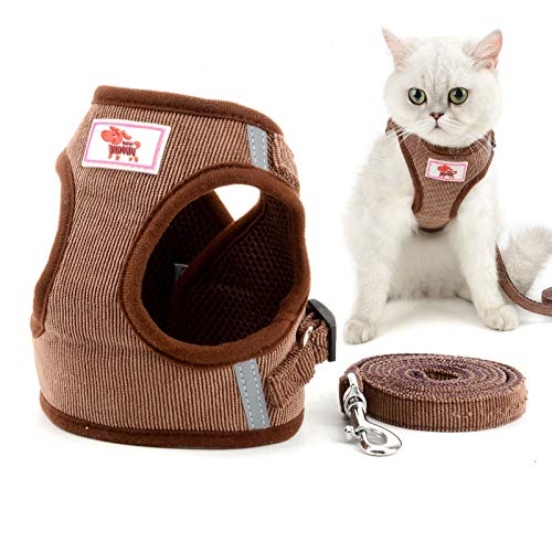smalllee_lucky_store Cordsamt Hundegeschirr mit Leine kleine Hunde, weiches Netzgewebe,reflektierend, katzengeschirr ausbruchsicher, verstellbar,für Jungen,Mädchen,kleine Welpen,Kätzchen smalllee_lucky_store Cordsamt Hundegeschirr mit Leine kleine Hunde, weiches Netzgewebe,reflektierend, katzengeschirr ausbruchsicher, verstellbar,für Jungen,Mädchen,kleine Welpen,Kätzchen von smalllee_lucky_store